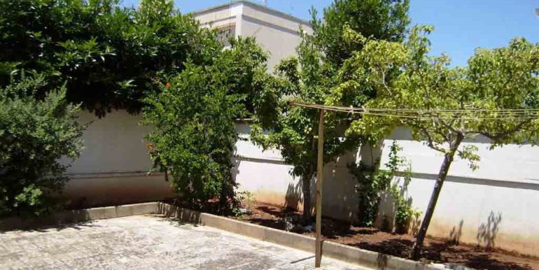 P5030074