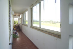 P1110442